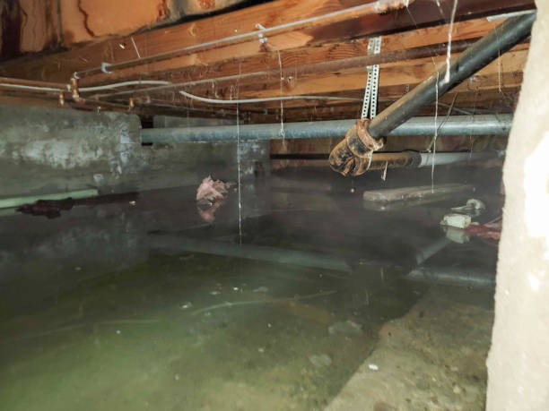 Best Emergency water damage restoration  in Bonduel, WI