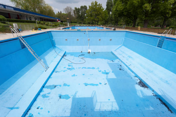 Best Water damage restoration mold remediation  in Bonduel, WI