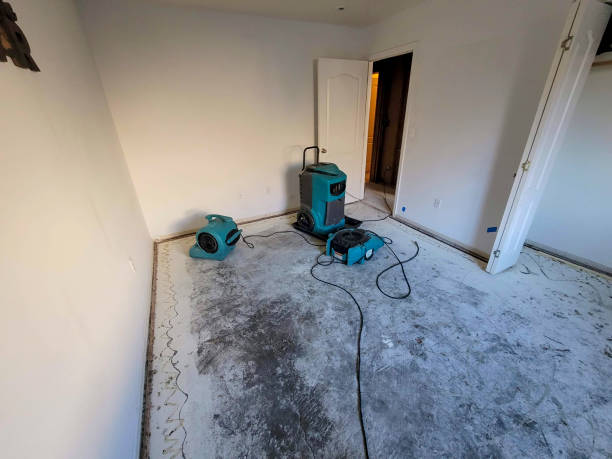 Best Mold removal after water damage  in Bonduel, WI