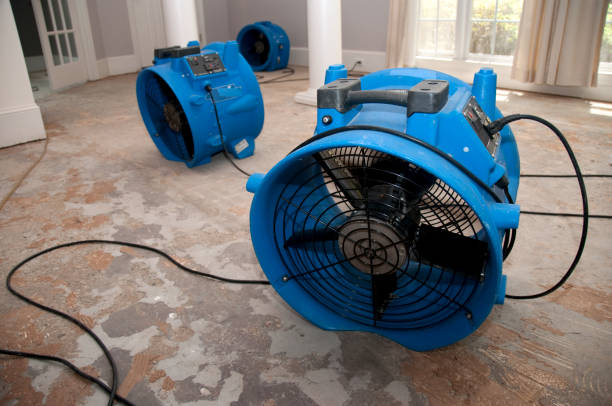 Best Mold removal after water damage  in Bonduel, WI